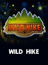 Bí quyết quản lý vốn hiệu quả khi chơi Poker Việt Nam